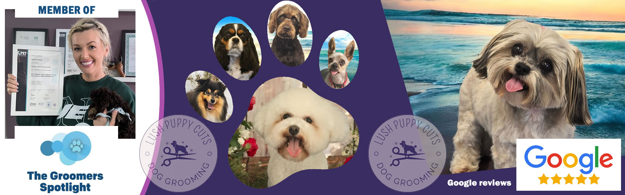 Professional Dog Groomer